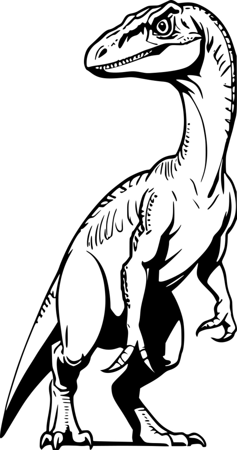 Coloring book Velociraptor (Vertical)