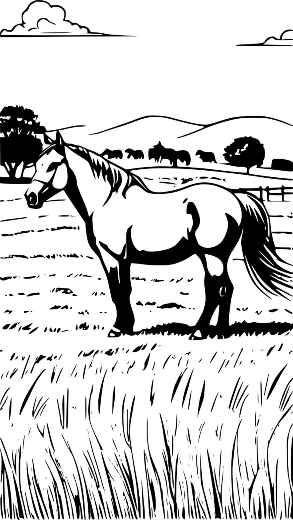 Раскраска Лошади на пастбище (Вертикальный)