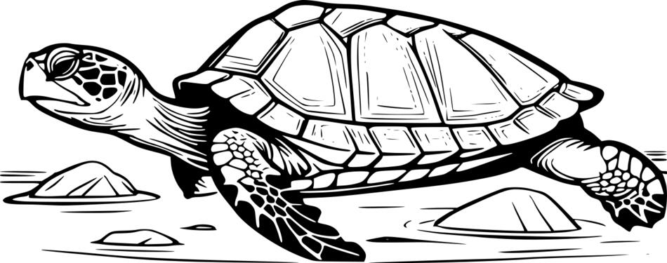 Coloring book Mysterious turtle (Horizontal)