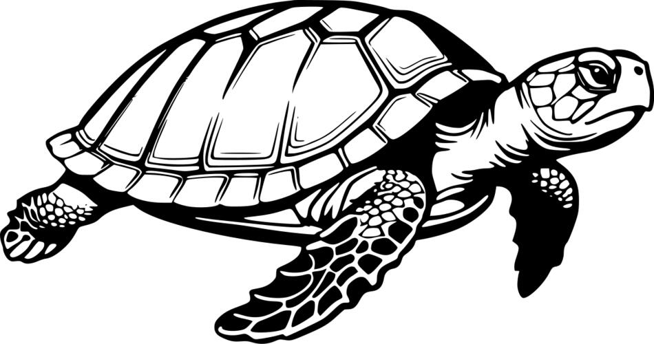 Malbuch Weise Schildkröte (Horizontal)
