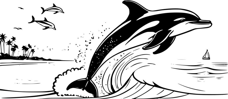 Coloring book Dolphin on the beach (Horizontal)