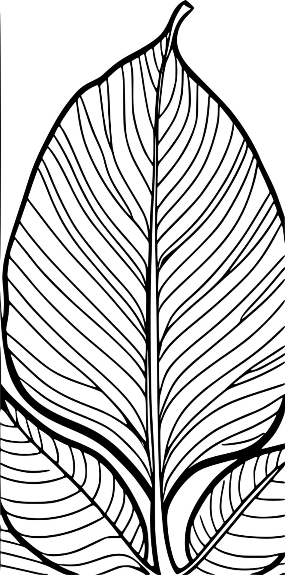 Раскраска Узор листьев (Вертикальный)