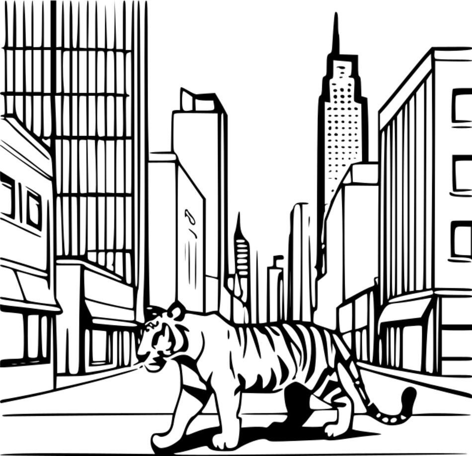 Раскраска Тигр в городе (Квадрат)